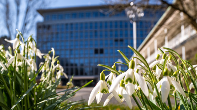 Blumen vor Hauptverwaltung Blumen vor Hauptverwaltung
